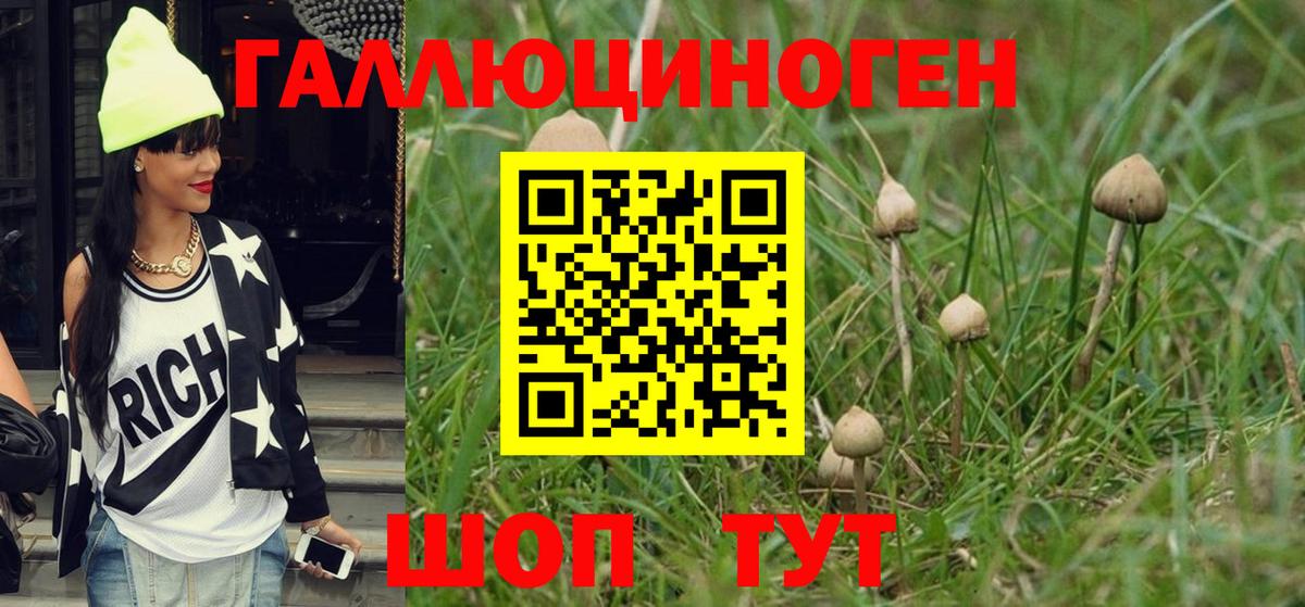 Бузулук  Галлюциногенные грибы Psilocybe  где продают   Вход с VPN 