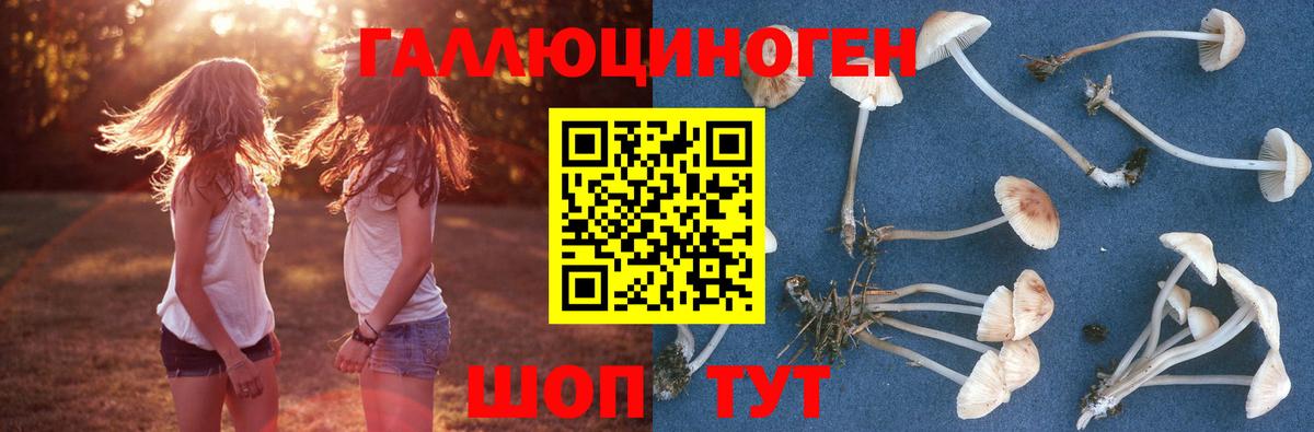 Галлюциногенные грибы Magic Shrooms Бузулук